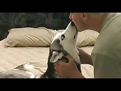Panam Dog Porn