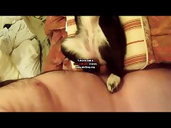 Horse Pussy Creampie Porn