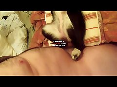 Horse Pussy Creampie Porn