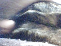 Girl Makes Out With Dog Porn