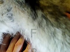 Dog Fuck Young Women