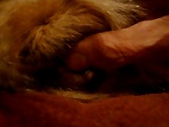 Woman Porn Dog