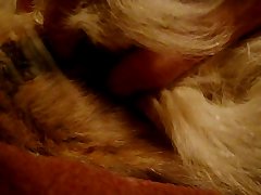 Woman Porn Dog