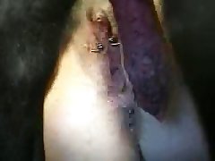 Dog Girl Transformation Porn