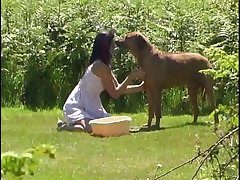 Dog Porn Women