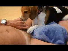 Masturbating A Horse Porn