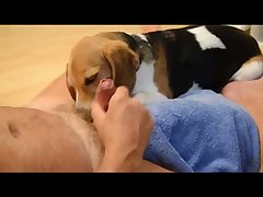 Masturbating A Horse Porn