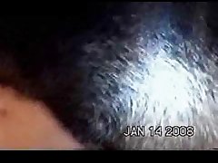 Xxvideos Zoofilia