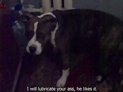 Dog Tied Porn