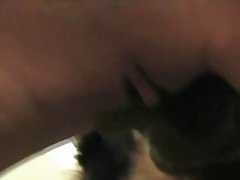 Dog Pounds Girl Porn