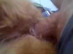 Female Furry Horse Porn