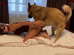 Comendo Gata Zoofilia