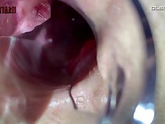 3d Dog Creampie Porn