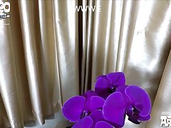 Animal Mating Sex Video