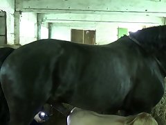 Zoofilia Con Humanos