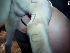 Risa Murakami Animal Sex