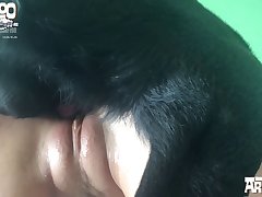 Horse Gay Anime Porn