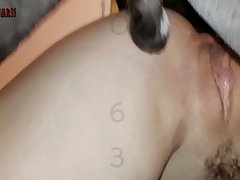 Animal Show Sex