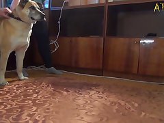 Zoofilia Follando A Mi Perra