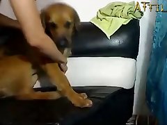 A Men Fuck A Dog