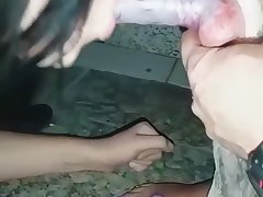 Blink 182 I Want To Fuck A Dog In The Ass