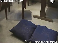 3 Man Fuck Dog