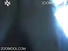 School Girl Dog Fuck