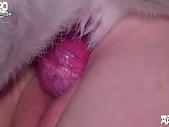 X Ray Dog Fuck