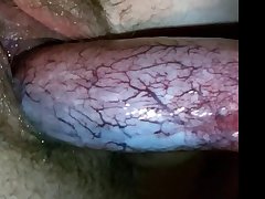 Fuck Dog And Girl