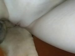Dog Anus Fuck