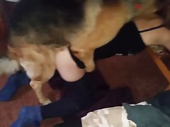 Dog Huge Knot Fuck