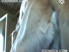 Dog Fuck Man And Woman