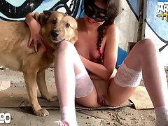 Porn Animal With Human