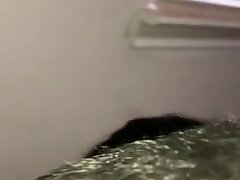 Animal Zoo Sex Porn