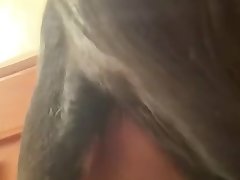 Animal And Women Sex Porn Video