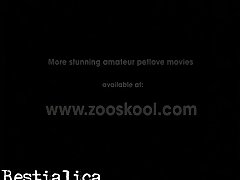 Animal 4k Porn Videos