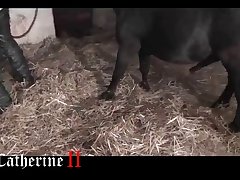 Animal Porn Xnxx