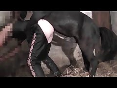Animal Porn Big Dick