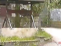 Animal Porn Duck