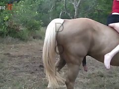 Tripti Dimri Animal Porn Scene