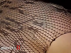 Animal Porn Image