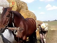 Xxx Porn Hd Animal