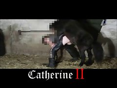 Animal Porn Site Name