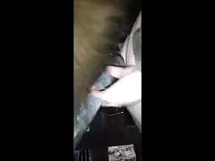 Animal Ntr Porn