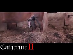 Animal Hot Girl Porn