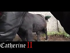 Animal Hot Girl Porn