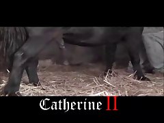 Is Watching Animal Porn Illegal In India