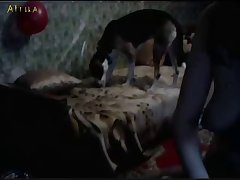Porno Zoofilia Hd