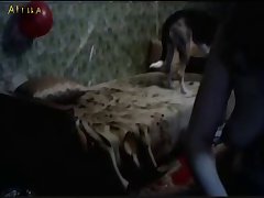 Porno Zoofilia Hd