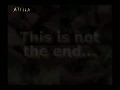 Zoofilia Vids